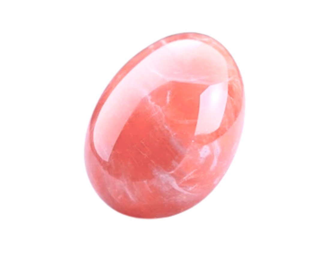 ✧ Coral